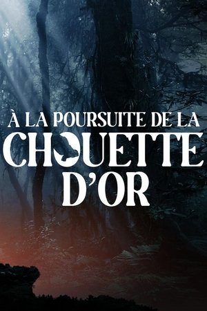 A la poursuite de la chouette d'or A la poursuite de la chouette d'or