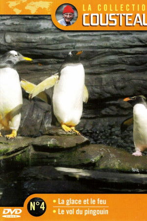 The Cousteau Collection N°4-2 | The Flight of the Penguin