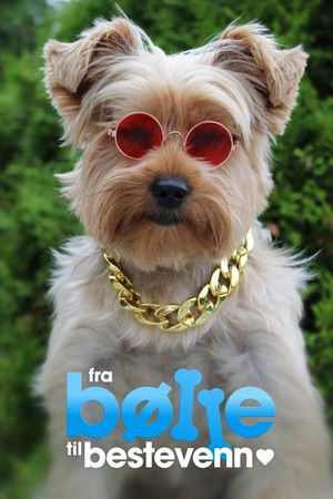 From bully to best friend From bully to best friend