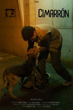 Cimarrón Cimarrón