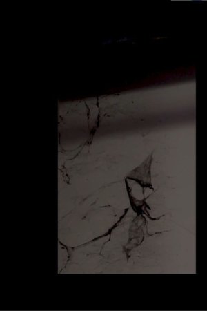 RITUAL, Part IV: The Blends RITUAL, Part IV: The Blends