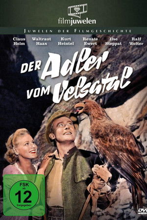 Der Adler vom Velsatal