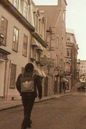 L'angle mort d'une hirondelle L'angle mort d'une hirondelle