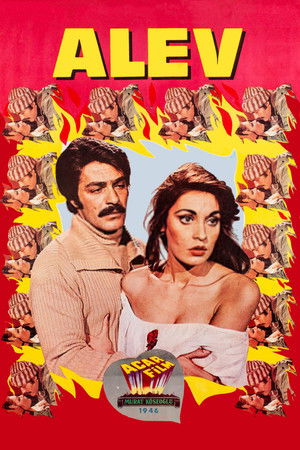 Alev Alev