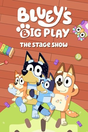 Bluey's Big Play Bluey's Big Play