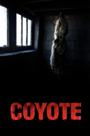Coyote Coyote