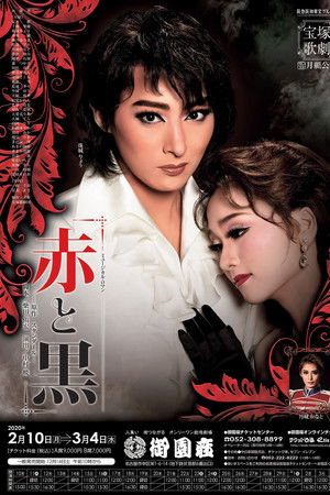 The Red and the Black The Red and the Black