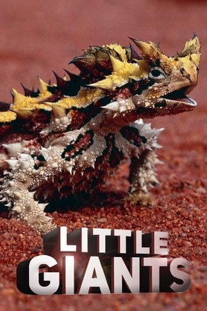 Little Giants Little Giants