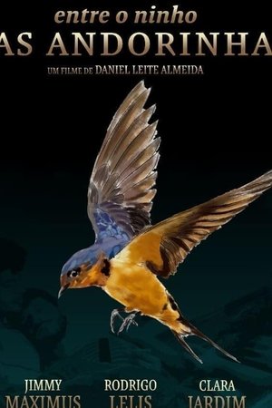 Between the Nest and the Swallows