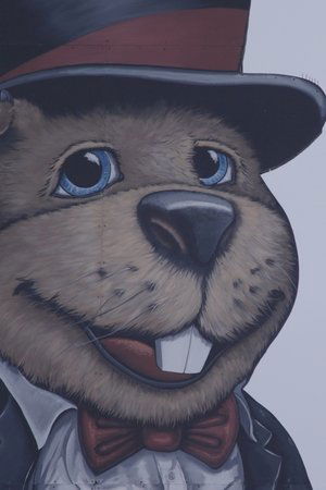 Groundhog Town Groundhog Town