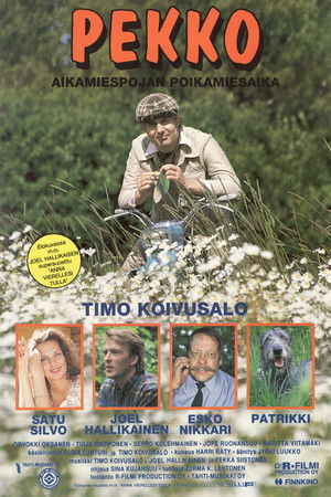 Pekko aikamiespojan poikamiesaika Pekko aikamiespojan poikamiesaika