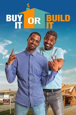 Buy It or Build It Buy It or Build It