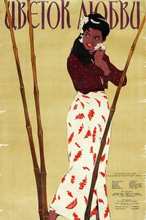 Flower of Love Flower of Love