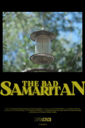 The Bad Samaritan The Bad Samaritan