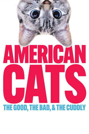 American Cats: The Good, the Bad, and the Cuddly American Cats: The Good, the Bad, and the Cuddly