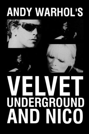 The Velvet Underground and Nico: A Symphony of Sound The Velvet Underground and Nico: A Symphony of Sound