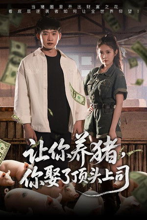 让你养猪，你娶了顶头上司
