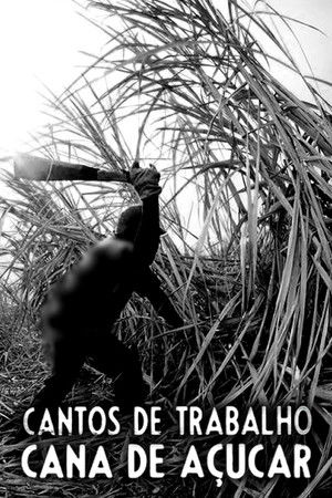 Cantos de Trabalho - Cana de Açúcar Cantos de Trabalho - Cana de Açúcar