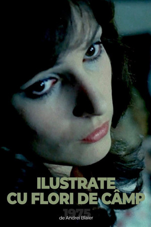 Postcards with Wildflowers Postcards with Wildflowers