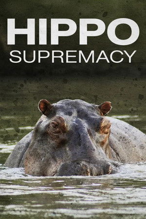 Hippo Supremacy Hippo Supremacy