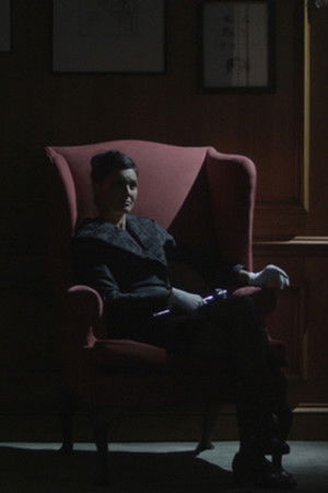 There Is No Such Thing as a Jellyfish There Is No Such Thing as a Jellyfish