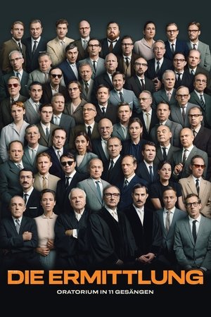 The Investigation The Investigation