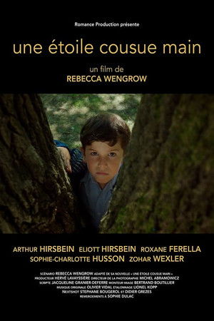 A Hand Sewn Star A Hand Sewn Star