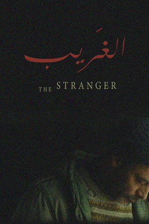 The Stranger The Stranger