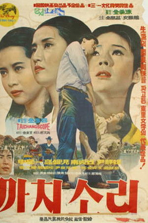 Sound of Magpies Sound of Magpies