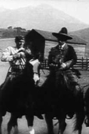 The Trail of Cards The Trail of Cards