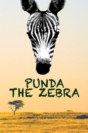 Punda the Zebra Punda the Zebra