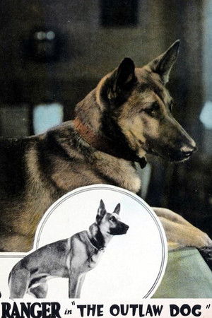The Outlaw Dog The Outlaw Dog