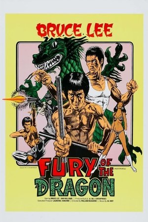Fury of the Dragon Fury of the Dragon