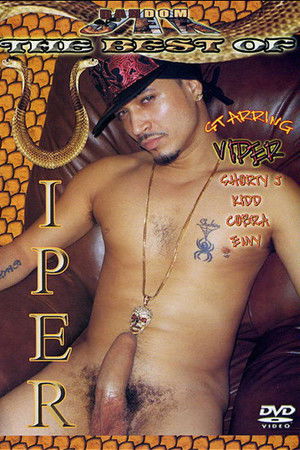 The Best of Viper The Best of Viper