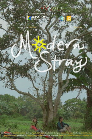 Modern Stray Modern Stray