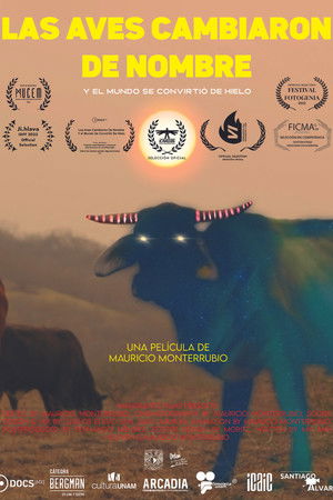 The Birds Changed Names And The World Turned Into Ice