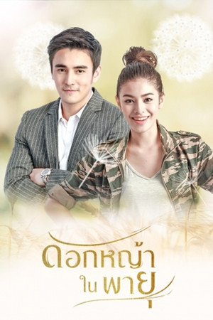 Flower in the Storm Flower in the Storm