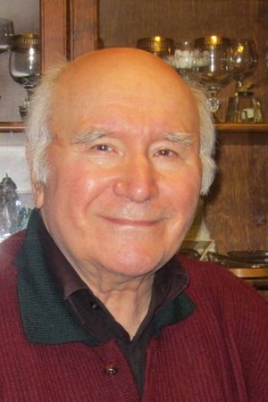 Vladislav Kladnitskiy