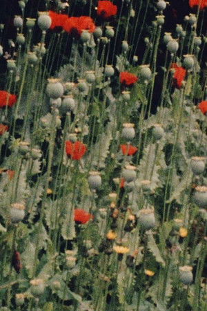 Place of Work Place of Work