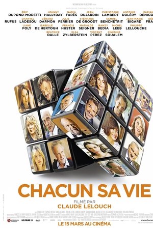 Everyone's Life Everyone's Life