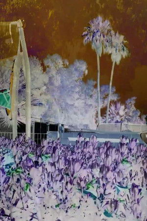 Revisited Remunerations Rapturously Collapse When Recompensed Revisited Remunerations Rapturously Collapse When Recompensed