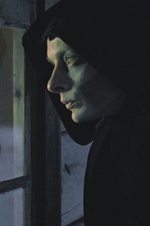 The Visitor The Visitor