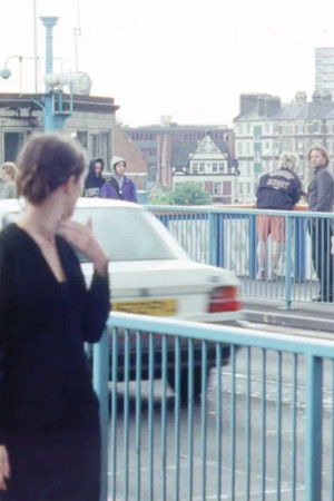 The Stream The Stream