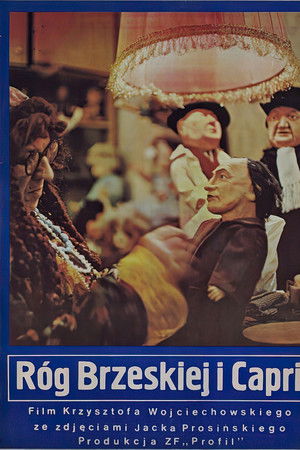 Róg Brzeskiej i Capri