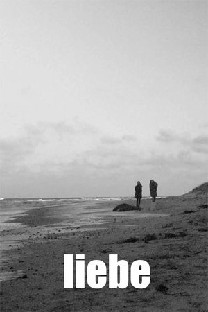 Liebe Liebe