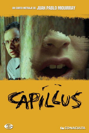 Capillus Capillus