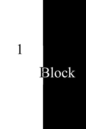 1 Block 1 Block
