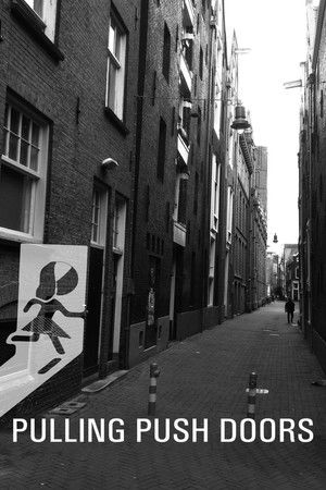 Pulling Push Doors Pulling Push Doors