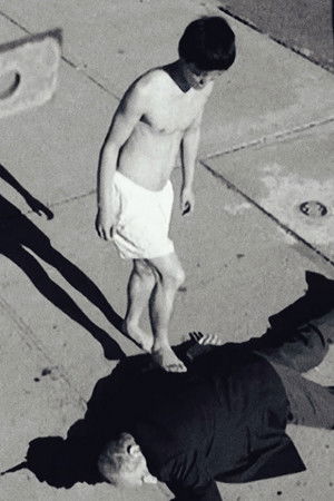 Cold Noodles Cold Noodles