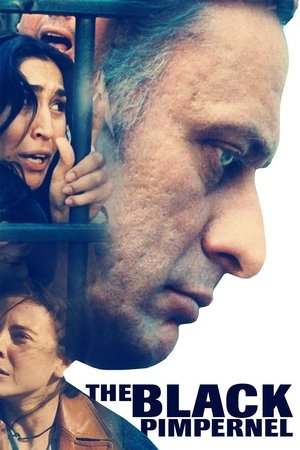 The Black Pimpernel The Black Pimpernel